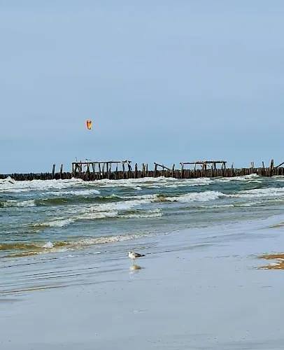 Kopu Ramybe Apartment *